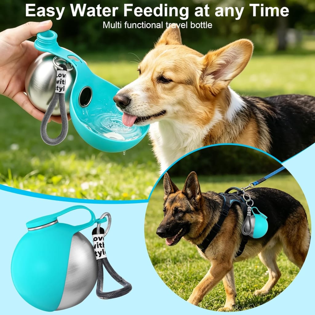PetHydro Portable Stainless Steel Water Bottle